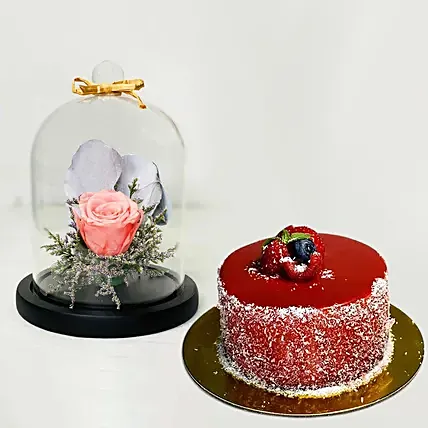 Forever Rose In Glass Dome Pink With Mini Cheese Cake