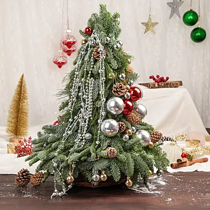 Festive Nobulus Arrangement: Christmas Trees Hugo