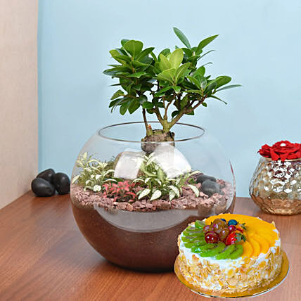 Bonsai Pot Paradise with Cake
