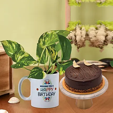 Money Plant In Happy Birthday Mug with Cake